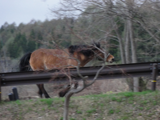 f:id:S_a_k_U:20120501173453j:image:w240