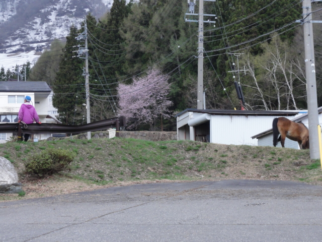 f:id:S_a_k_U:20120501173703j:image:w240