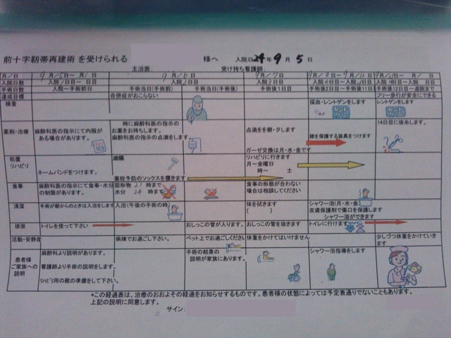 f:id:S_a_k_U:20120905162342j:image:w240 f:id:S_a_k_U:20120905162342j:image:w240