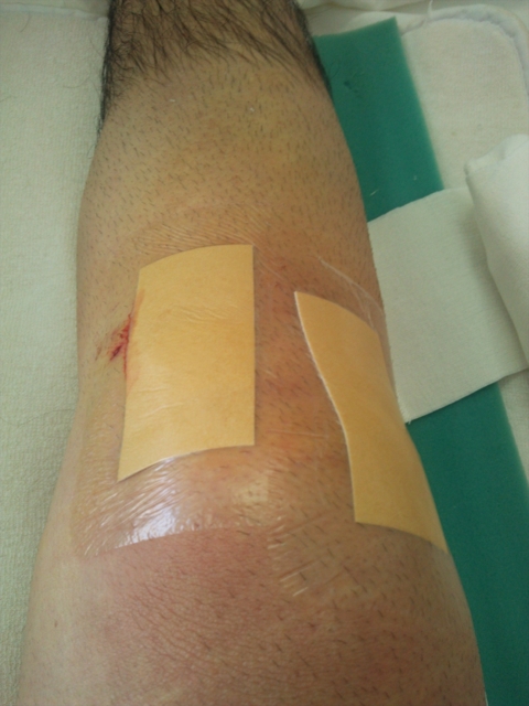 f:id:S_a_k_U:20120910142709j:image:h240 f:id:S_a_k_U:20120910142709j:image:h240