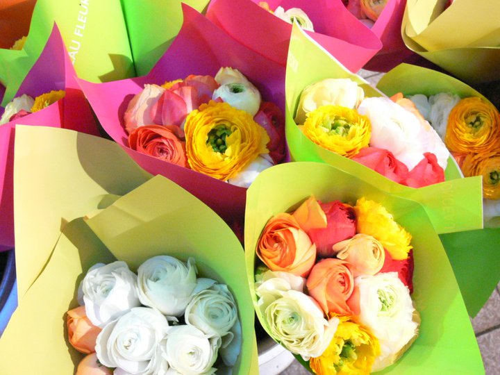 f:id:Saeri:20151205162101j:plain f:id:Saeri:20151205162101j:plain