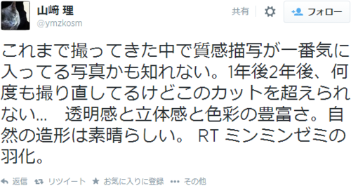 f:id:Saitoh:20140824061239p:plain f:id:Saitoh:20140824061239p:plain