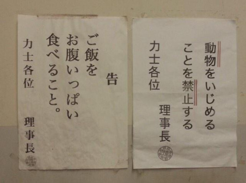 f:id:Saitoh:20150313204516j:plain f:id:Saitoh:20150313204516j:plain