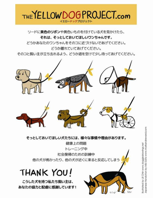 f:id:Saitoh:20150716071920j:plain f:id:Saitoh:20150716071920j:plain