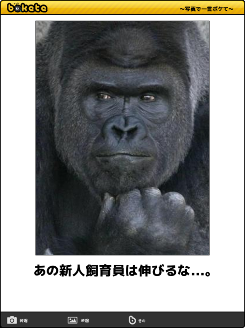 f:id:Saitoh:20151210071854p:plain f:id:Saitoh:20151210071854p:plain