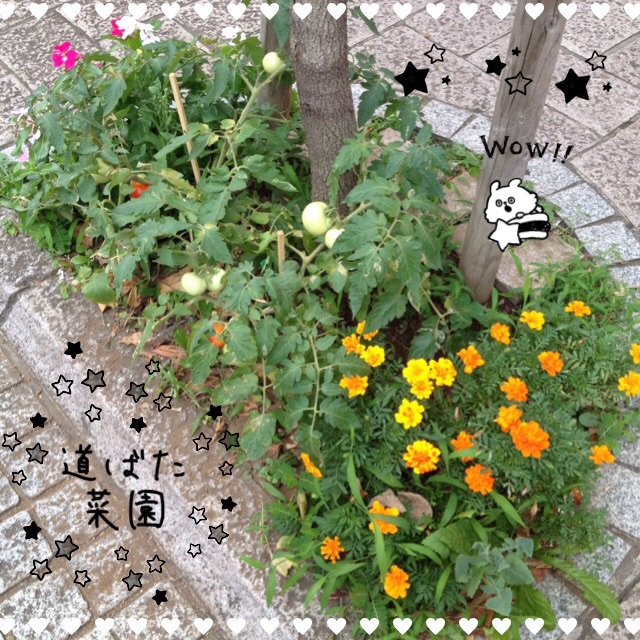 f:id:Sakananokimochi:20150731072541j:plain f:id:Sakananokimochi:20150731072541j:plain
