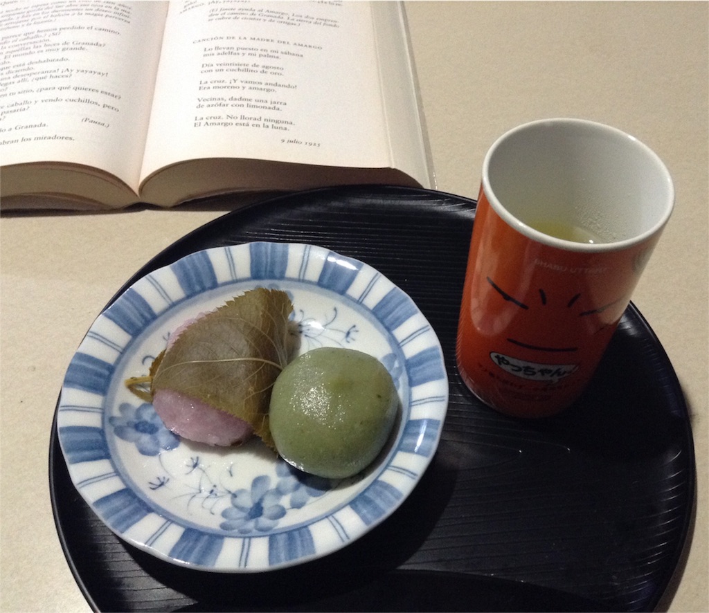 f:id:Satomi_KAWASAKI:20160227174951j:image f:id:Satomi_KAWASAKI:20160227174951j:image