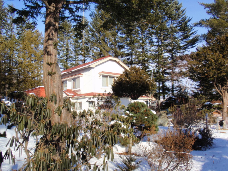 f:id:Schima:20090102085620j:image f:id:Schima:20090102085620j:image