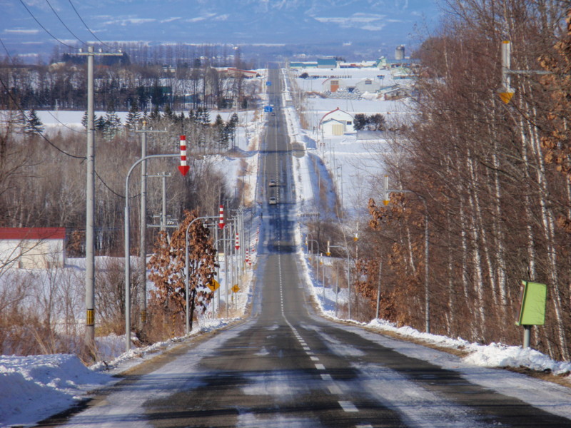 f:id:Schima:20090102093020j:image f:id:Schima:20090102093020j:image