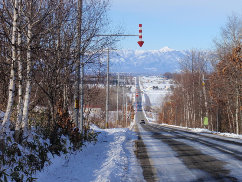 f:id:Schima:20090102093051j:image f:id:Schima:20090102093051j:image