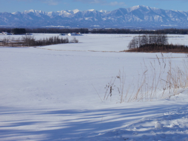 f:id:Schima:20090102093335j:image f:id:Schima:20090102093335j:image