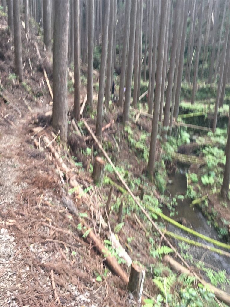 f:id:ScotchHayama:20160516181147j:image f:id:ScotchHayama:20160516181147j:image