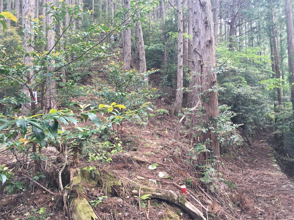 f:id:ScotchHayama:20160516184803j:image f:id:ScotchHayama:20160516184803j:image
