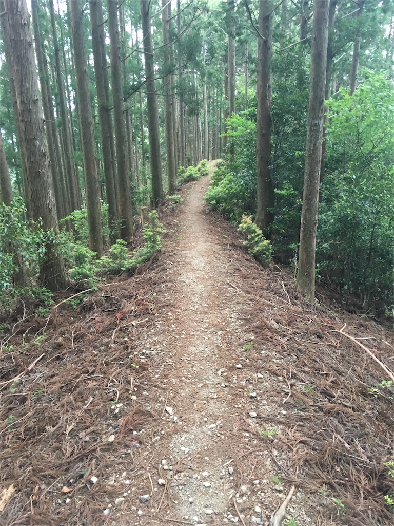 f:id:ScotchHayama:20160516190235j:image f:id:ScotchHayama:20160516190235j:image