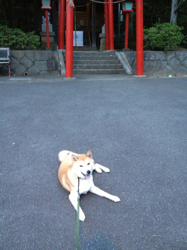 f:id:ShibaKoro:20130705190006j:plain f:id:ShibaKoro:20130705190006j:plain