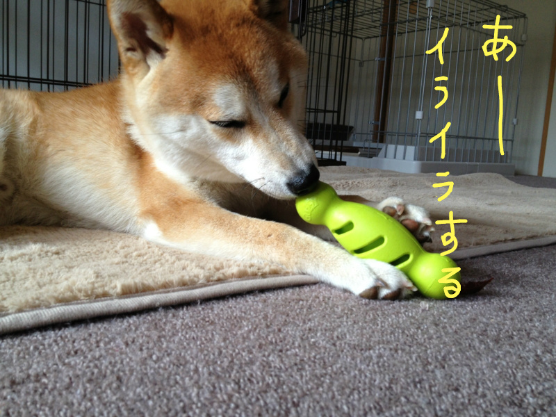 f:id:ShibaKoro:20130708223135j:plain f:id:ShibaKoro:20130708223135j:plain