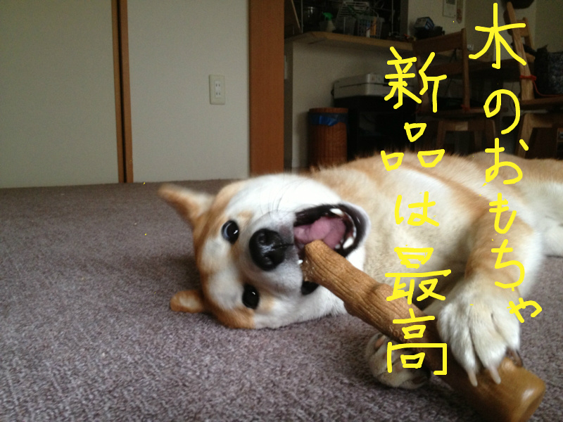 f:id:ShibaKoro:20130710220235j:plain f:id:ShibaKoro:20130710220235j:plain