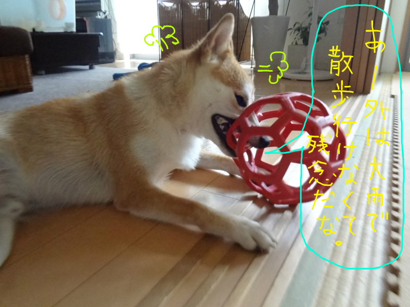 f:id:ShibaKoro:20130915223218j:plain f:id:ShibaKoro:20130915223218j:plain