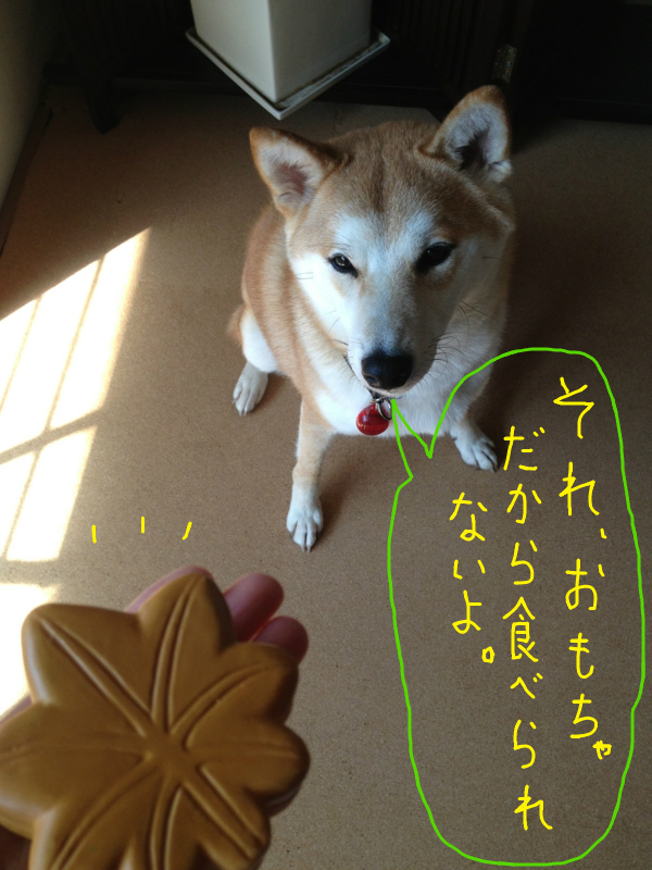 f:id:ShibaKoro:20131106221912j:plain