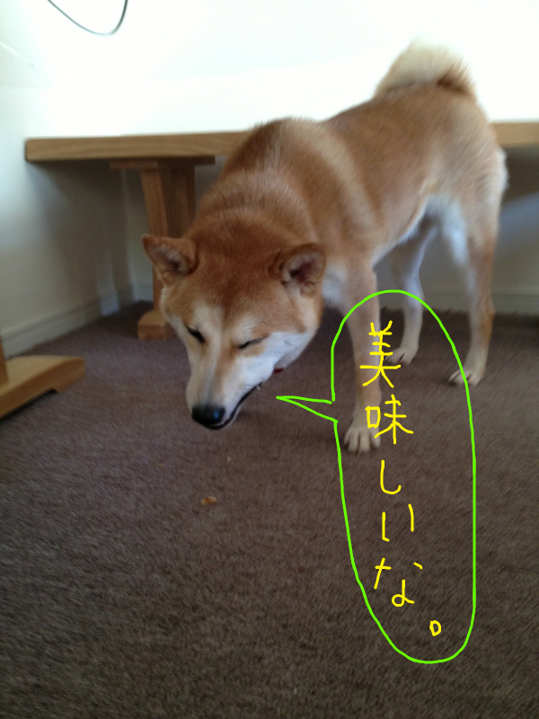 f:id:ShibaKoro:20131106222214j:plain f:id:ShibaKoro:20131106222214j:plain