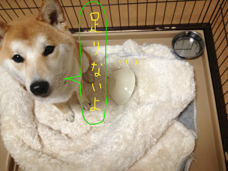 f:id:ShibaKoro:20140130231245j:plain f:id:ShibaKoro:20140130231245j:plain