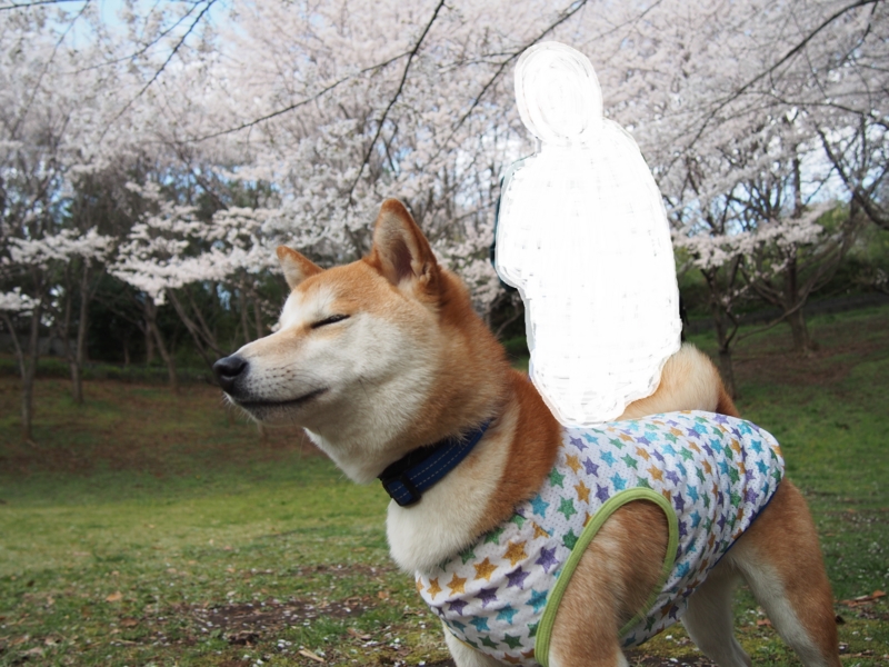 f:id:ShibaKoro:20140406223309j:plain f:id:ShibaKoro:20140406223309j:plain