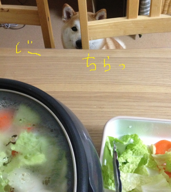 f:id:ShibaKoro:20150201233538j:plain f:id:ShibaKoro:20150201233538j:plain