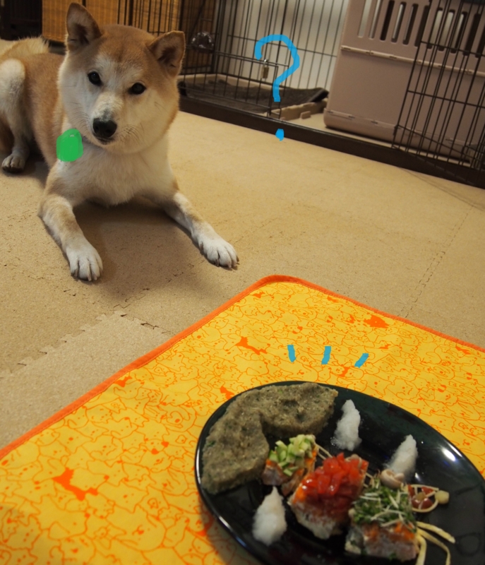 f:id:ShibaKoro:20150505232131j:plain f:id:ShibaKoro:20150505232131j:plain
