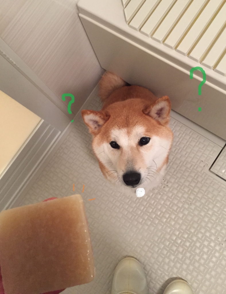 f:id:ShibaKoro:20160328235553j:plain f:id:ShibaKoro:20160328235553j:plain