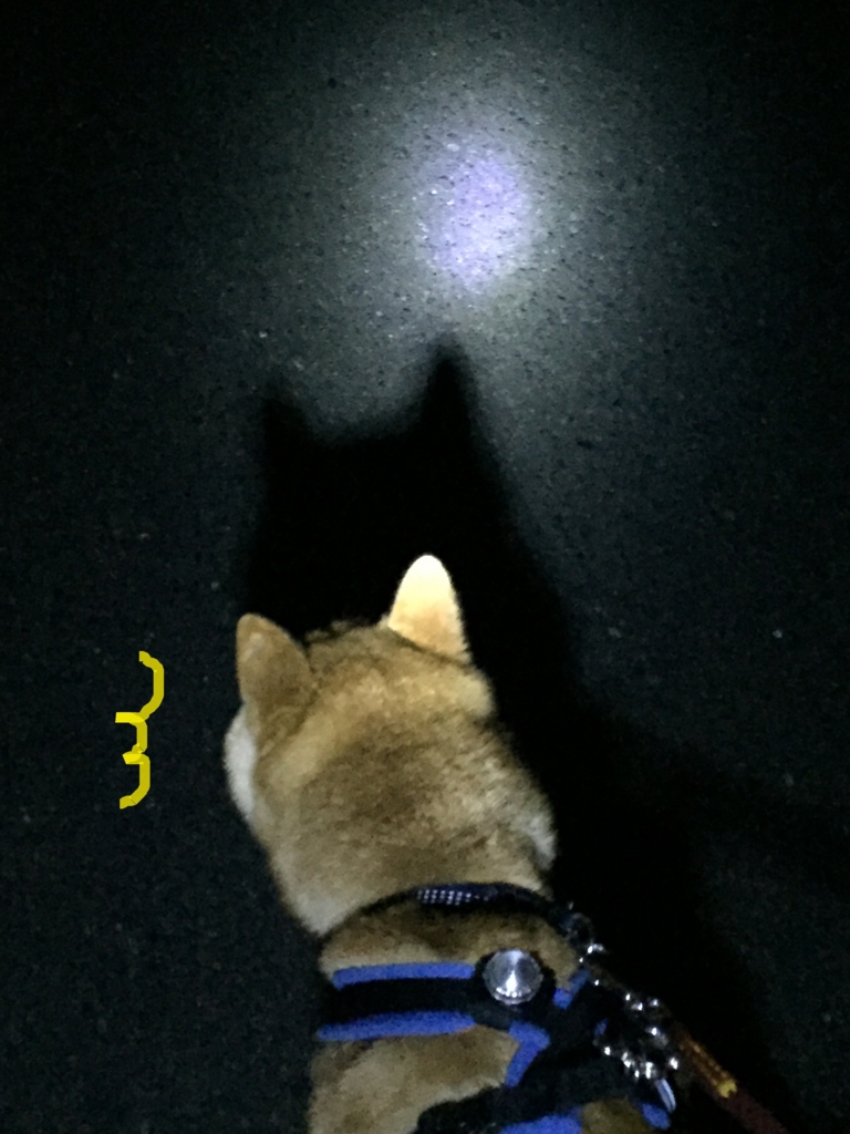 f:id:ShibaKoro:20160331000054j:plain f:id:ShibaKoro:20160331000054j:plain