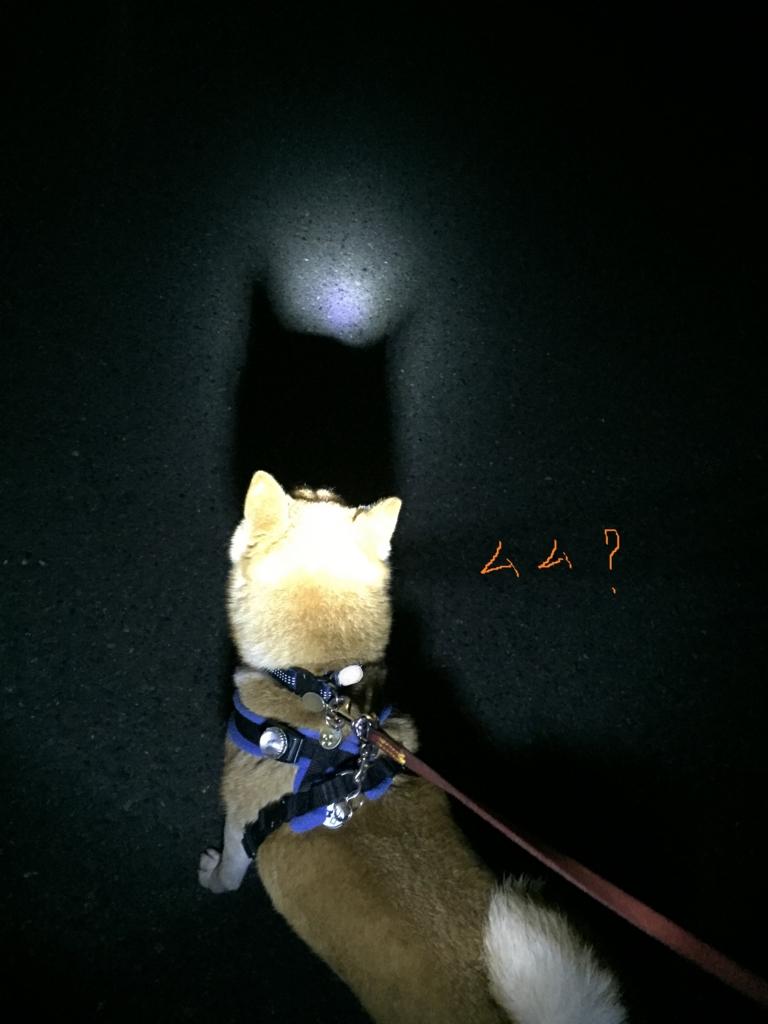 f:id:ShibaKoro:20160331000131j:plain f:id:ShibaKoro:20160331000131j:plain