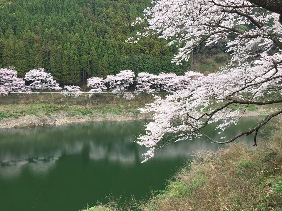 f:id:ShimizuyaYusui_Koga:20160530145935j:plain