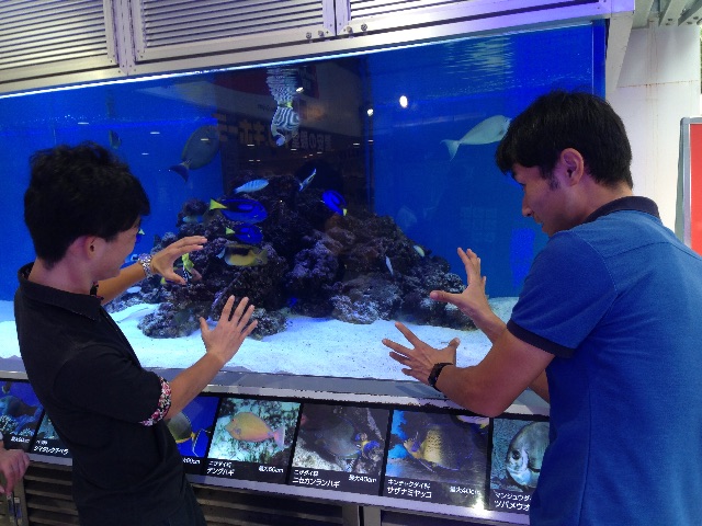 f:id:Shun_SHIDO:20151110000649j:image f:id:Shun_SHIDO:20151110000649j:image