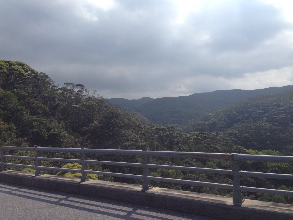 f:id:Shun_SHIDO:20160313204359j:image f:id:Shun_SHIDO:20160313204359j:image
