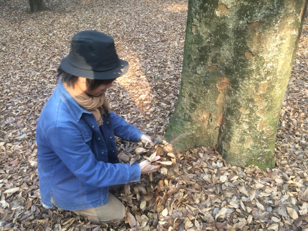 f:id:Silentit:20151229171348j:plain f:id:Silentit:20151229171348j:plain
