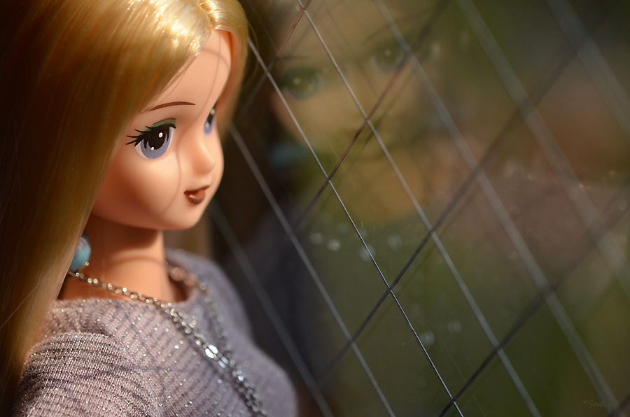 f:id:Snowowl:20111124090444j:plain