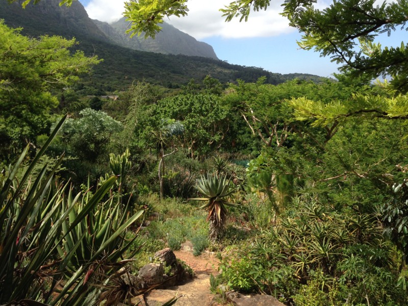 f:id:Spiny-anteater:20140101150655j:plain