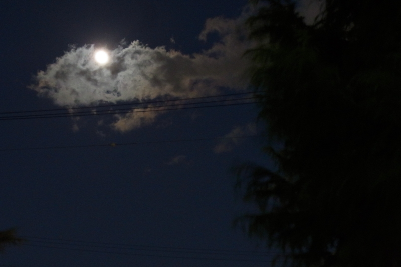 f:id:StarLine:20150620223605j:plain f:id:StarLine:20150620223605j:plain