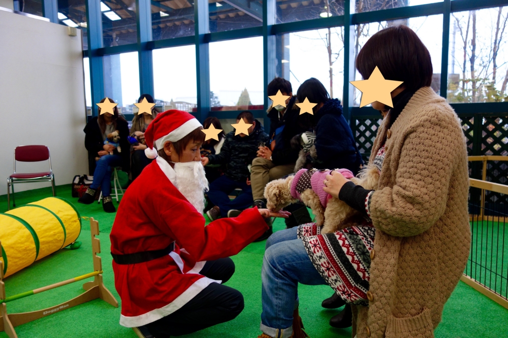 f:id:SunnySideDogs:20151224144545j:plain f:id:SunnySideDogs:20151224144545j:plain