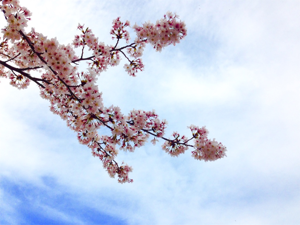 f:id:TEED:20160404134407j:image f:id:TEED:20160404134407j:image