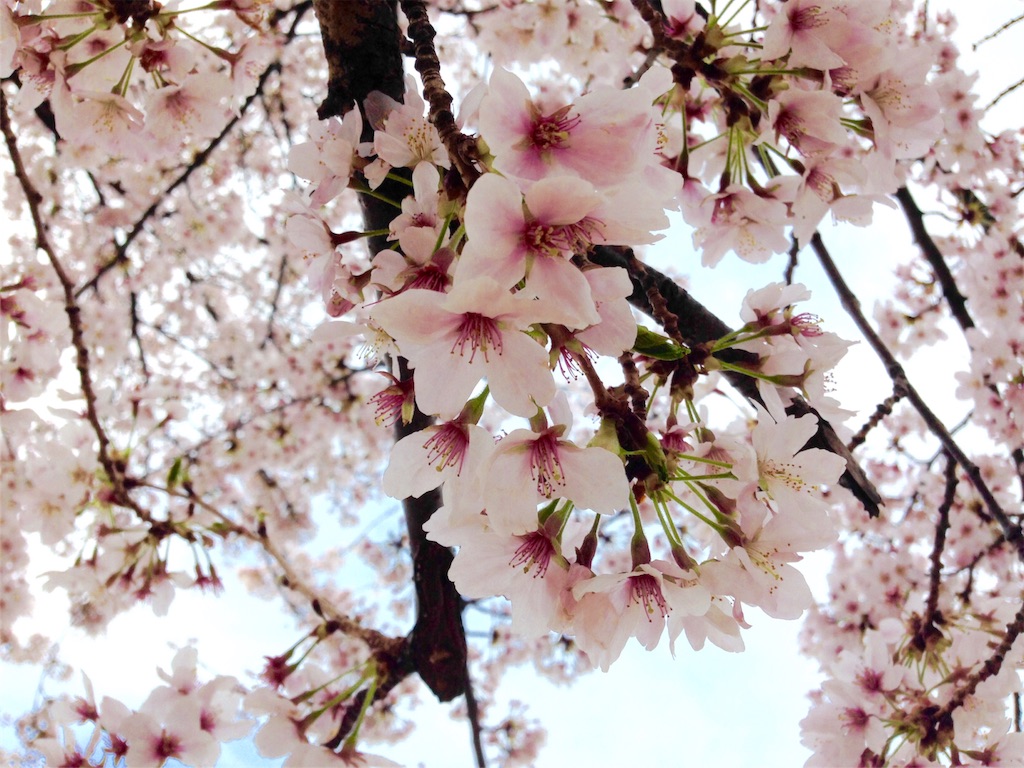 f:id:TEED:20160404134445j:image f:id:TEED:20160404134445j:image
