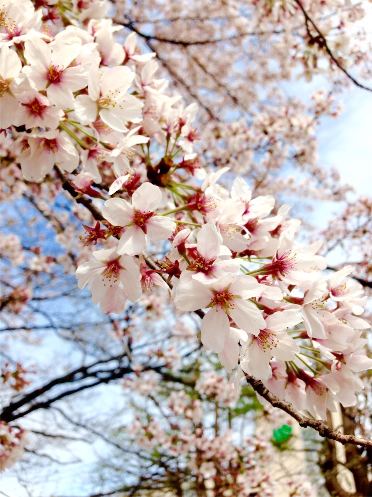 f:id:TEED:20160404134458j:image f:id:TEED:20160404134458j:image