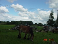 f:id:TKN:20050917125759j:image f:id:TKN:20050917125759j:image