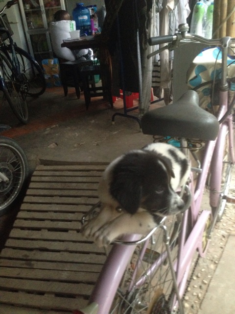 f:id:TNKANGKOR:20141022155456j:plain f:id:TNKANGKOR:20141022155456j:plain