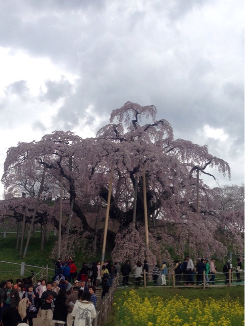 f:id:TNSC65:20150418172756j:plain f:id:TNSC65:20150418172756j:plain
