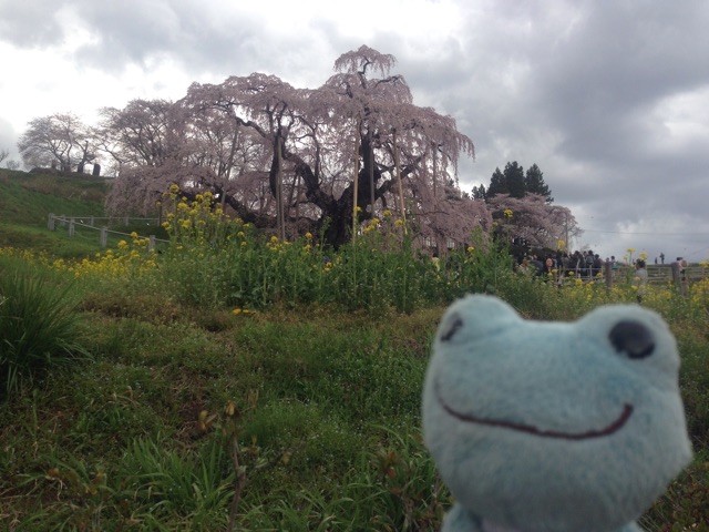 f:id:TNSC65:20150418173055j:plain f:id:TNSC65:20150418173055j:plain