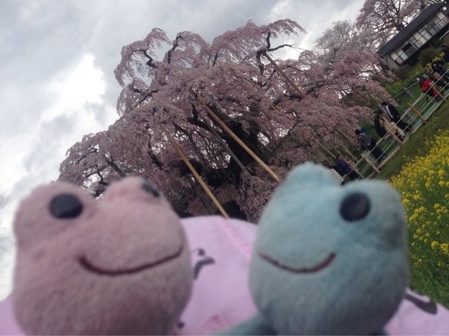 f:id:TNSC65:20150418173130j:plain f:id:TNSC65:20150418173130j:plain