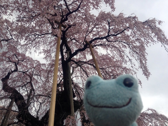 f:id:TNSC65:20150418173222j:plain f:id:TNSC65:20150418173222j:plain