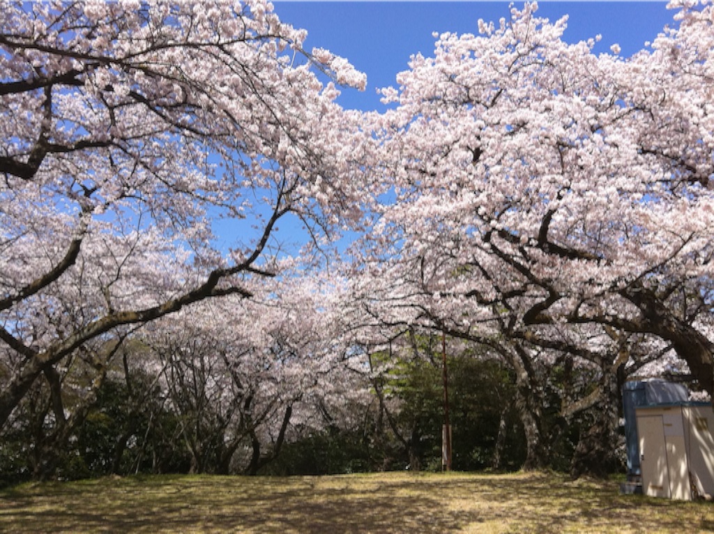 f:id:TNSC65:20151219112235j:image f:id:TNSC65:20151219112235j:image