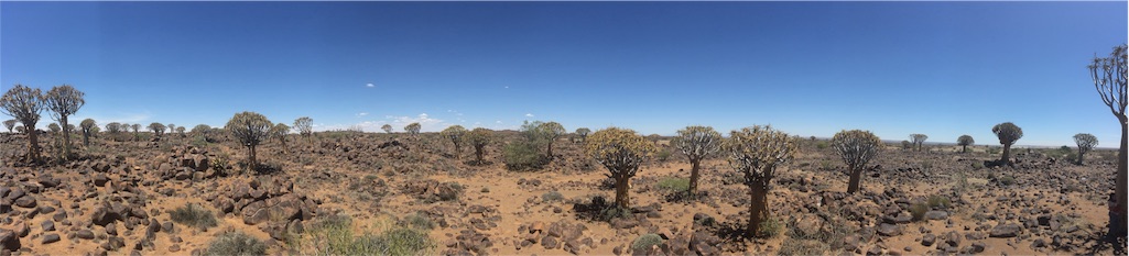 f:id:TPVC28-Namibia:20160105145158j:image f:id:TPVC28-Namibia:20160105145158j:image